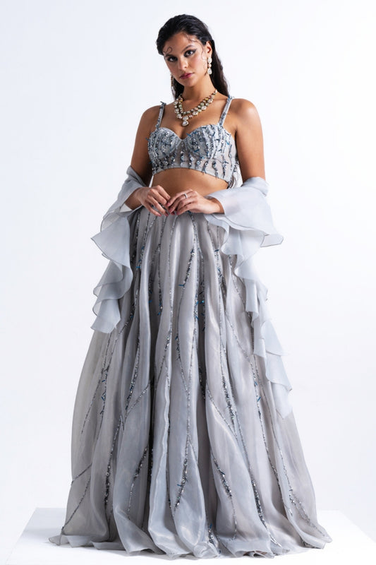 Dusty Blue Embellished Organza Lehenga