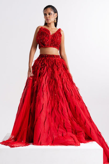 Scarlet Red Feather Embellished Lehenga Set