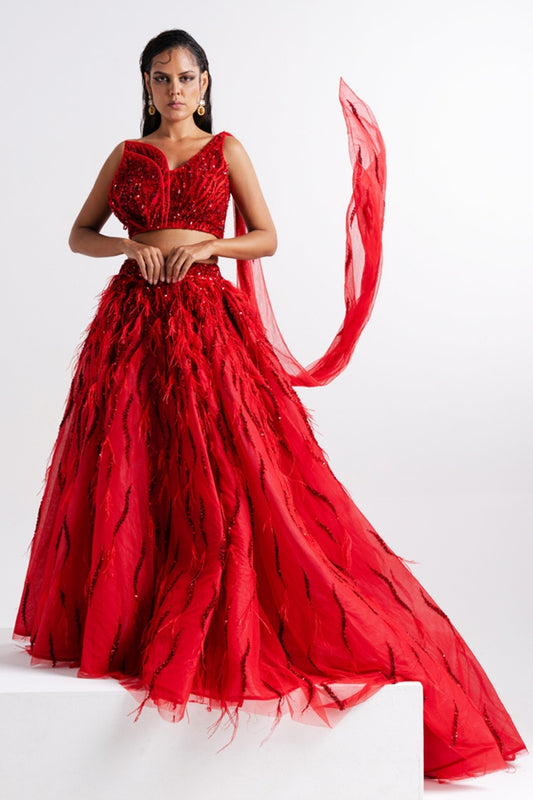 Scarlet Red Feather Embellished Lehenga Set