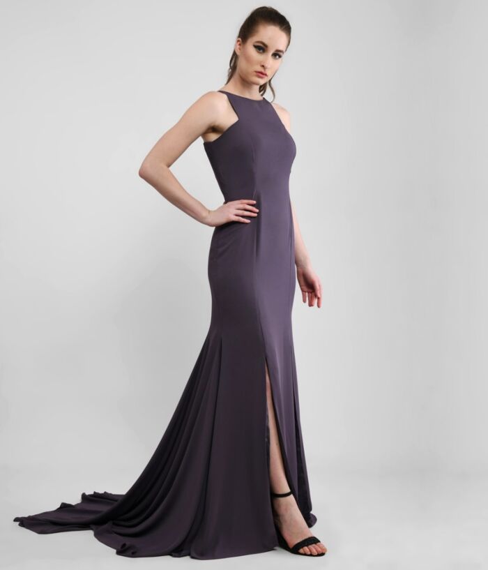 Red Carpet Star Grey Gown With Sweeping Trail